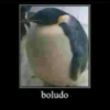 Callate el ocico 9