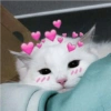 Stickers de Dabi 2 29