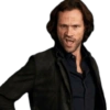 SPN Family 15