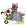 MULATA.DOV