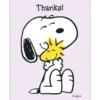 Thank You 27