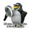 Shutterstock Ni con esta madre c te ve el Pito