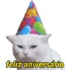 feliz aniversário