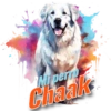 Dia del perro 4 20