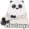 Mau tau ya
