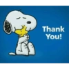 Thank You 30