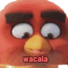Stickers sin sentido 22