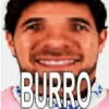 BURRO