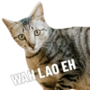 a WAH LAO EH