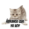 ABRANSE QUE YA VOY