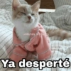 Ya desperté