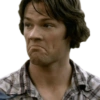 SPN Family 25