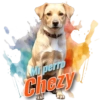 Dia del perro 4 22