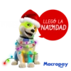 Navidad Macropay 10