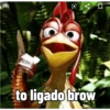 to ligado brow