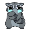 Mapaches mal hechos 14
