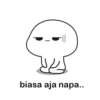 biasa aja napa..