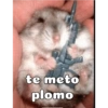te meto plomo