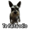 Te falta odio