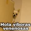 ✨ Memes mix 8 🪄🔥 15