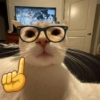 🌈🐈‍⬛✨️Gatos Funny Mood✨️🐈‍⬛🌈 5