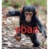 Nu vai tomando 25