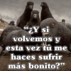 🧿Frases Migajeras🍞🐦 25