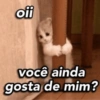 ofi você ainda gosta de mim?
