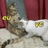 Reações Suspeitas😏 6