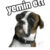 Komik köpek fotoğrafları  5