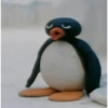 PINGU MEMES 12