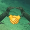 Memes necessários 12