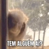 Macaquinho Mood 🙈🙉🙊 21