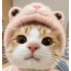 CAT CUTE EDIT😆 14