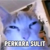 Meme Kucing #5 7