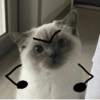 Gatitos apocalípticos 🙀 28