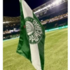 Palmeiras 🍃✨ 8
