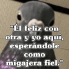 🧿Frases Migajeras🍞🐦 6