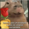 Memes aleatórios 5