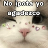 👂No me importa yo♥️ memes🔥 6