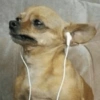 Reações + músicas 🎵 27