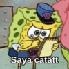 Saya catatt