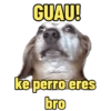 GUAU! ke perro eres bro