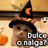 🎃 Halloween Memes ☠🎃 7