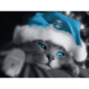 (GRÊMIO
