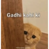 Gadhi kahi ki Follow//@hey_queeen