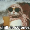 chill de cojones