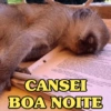 BOM DIA PRA VC 🌞 14