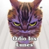 Odio los Lunes
