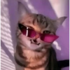 Gatitos 😍 5